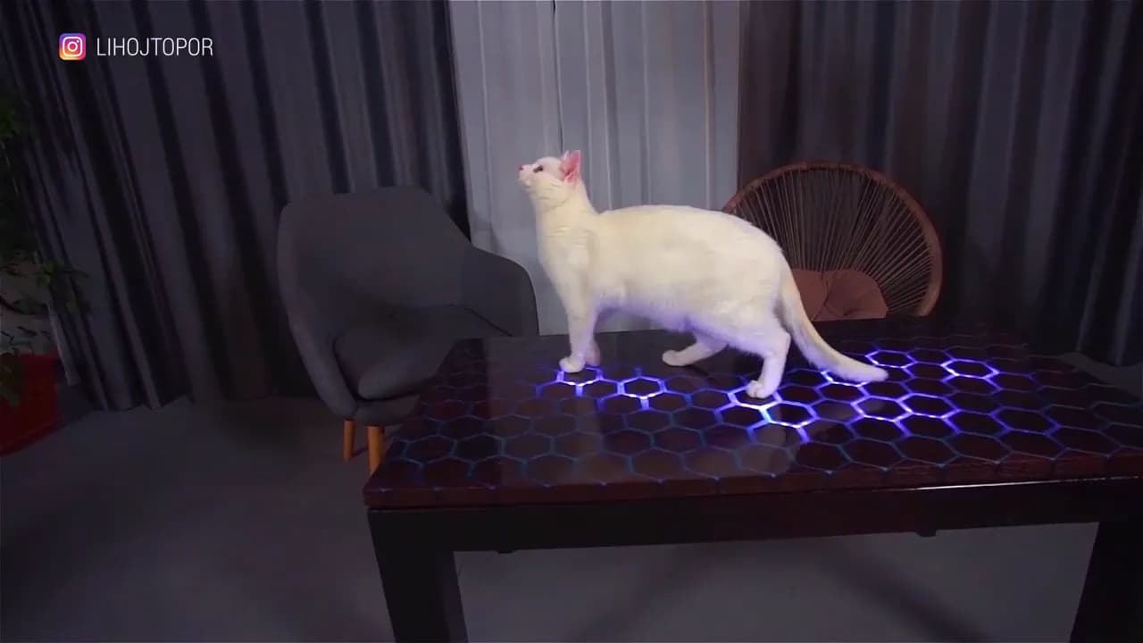 Готовый стол с подсветкой, на столешнице лежит кот