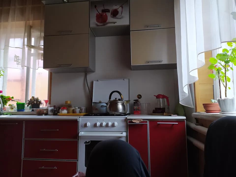 Кухонные шкафы с фасадами в интерьере кухни